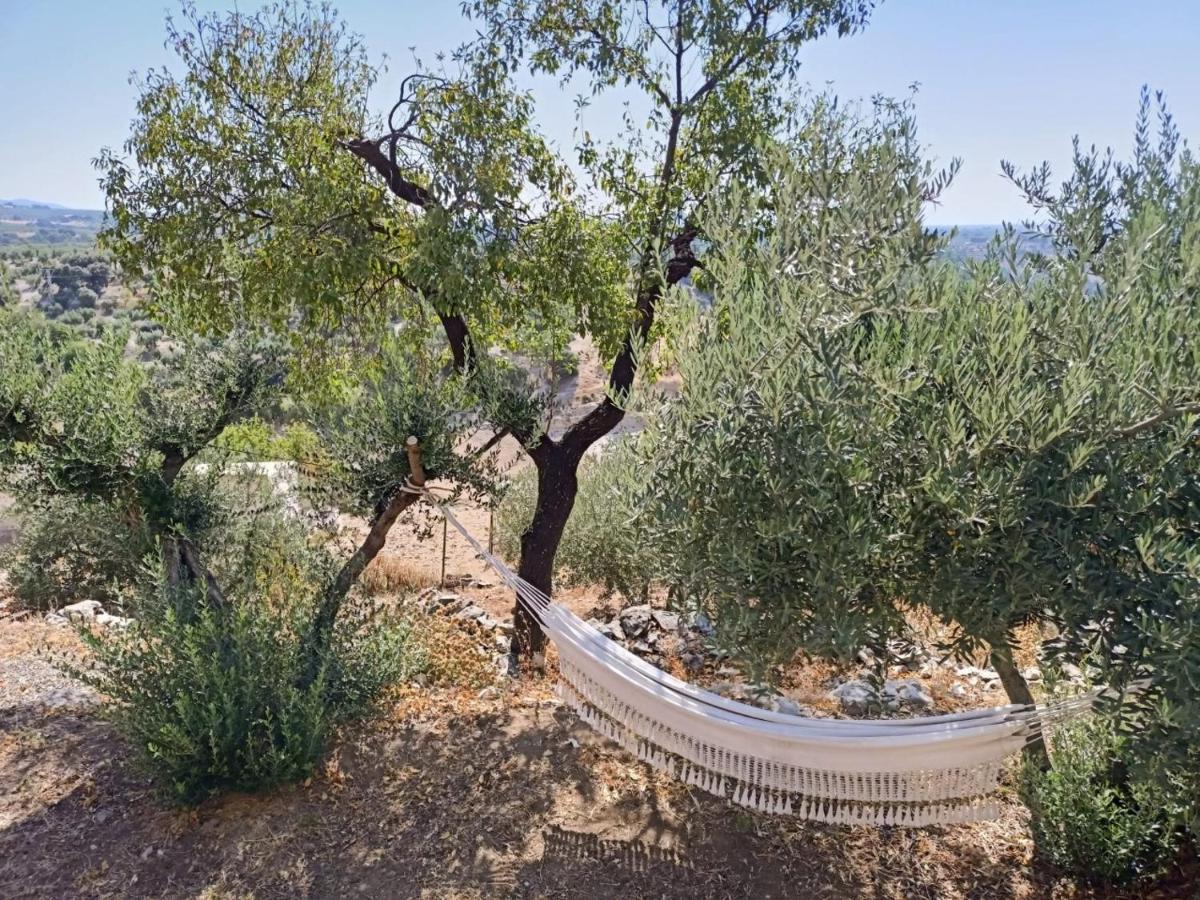 El Almendro De Fuentes Nuevas Villa Castril Exterior photo